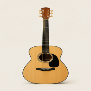Guitar Icon - Copy